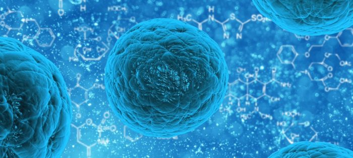 Stem Cells SUI Image